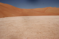 Canon EOS REBEL T2i, 2015:04:22 03:32:24 -- 1/80 sec, f/22.0.  No Flash, Compulsory.5184x3456 Off.