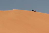 Canon EOS REBEL T2i, 2015:04:22 03:48:31 -- 1/400 sec, f/22.0.  No Flash, Compulsory.5184x3456 Off.