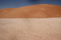 Canon EOS REBEL T2i, 2015:04:22 03:49:51 -- 1/80 sec, f/22.0.  No Flash, Compulsory.5184x3456 Off.