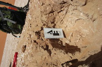 Canon EOS REBEL T2i, 2015:04:22 04:21:35 -- 1/60 sec, f/22.0.  No Flash, Compulsory.5184x3456 Off.