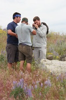 Canon EOS REBEL T2i, 2011:06:27 11:53:29 -- 1/200 sec, f/8.0.  No Flash, Compulsory.5184x3456 Off.