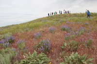 Canon EOS REBEL T2i, 2011:06:27 11:53:33 -- 1/200 sec, f/8.0.  No Flash, Compulsory.5184x3456 Off.