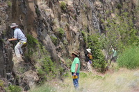 Canon EOS REBEL T2i, 2011:06:30 10:41:34 -- 1/400 sec, f/7.1.  No Flash, Compulsory.5184x3456 Off.