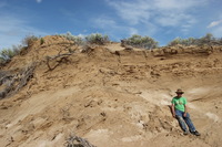 Canon EOS REBEL T2i, 2011:06:30 14:48:45 -- 1/250 sec, f/10.0.  No Flash, Compulsory.5184x3456 Off.