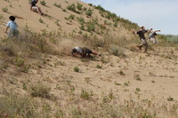 Canon EOS REBEL T2i, 2011:06:30 14:50:06 -- 1/250 sec, f/10.0.  No Flash, Compulsory.5184x3456 Off.