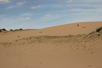 Canon EOS REBEL T2i, 2011:06:30 14:50:25 -- 1/320 sec, f/11.0.  No Flash, Compulsory.5184x3456 Off.