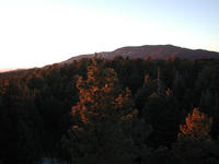 dscn0542.jpg(850156 bytes) -- NIKON-E990,  2002:01:24 17:49:41,  [2048 x 1536],  fl=N,  f= 8.2mm,  exptime=0.012 s  (1/84),  f/3.1