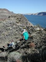 DSCN0796.JPG(707338 bytes) -- NIKON-E990,  2002:09:22 15:31:30,  [2048 x 1536],  fl=N,  f= 8.2mm,  exptime=0.003 s  (1/348),  f/6.2