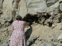 DSCN0851.JPG(717689 bytes) -- NIKON-E990,  2002:09:24 14:20:28,  [2048 x 1536],  fl=N,  f=13.8mm,  exptime=0.004 s  (1/264),  f/6.8