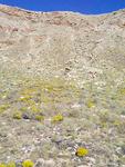 crater36.JPG(403599 bytes) -- [960 x 1280],  