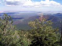crater65.JPG(471908 bytes) -- [1280 x 960],  