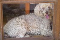 IMG00422.jpg(968216 bytes) -- SIGMA-SIGMA SD9,  2004:03:31 08:26:26,  [2268 x 1512],  fl=N,  f=64.0mm,  exptime=0.017 s  (1/60),  f/3.5