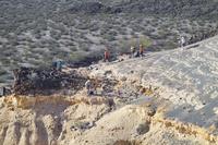 IMG00441.jpg(1916874 bytes) -- SIGMA-SIGMA SD9,  2004:03:31 17:14:30,  [2268 x 1512],  fl=N,  f=70.0mm,  exptime=0.004 s  (1/250),  f/11.0