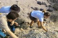 IMG00455.jpg(1763738 bytes) -- SIGMA-SIGMA SD9,  2004:03:31 17:36:06,  [2268 x 1512],  fl=N,  f=26.0mm,  exptime=0.004 s  (1/250),  f/11.0