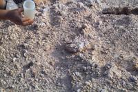 IMG00456.jpg(1762506 bytes) -- SIGMA-SIGMA SD9,  2004:03:31 17:36:12,  [2268 x 1512],  fl=N,  f=70.0mm,  exptime=0.004 s  (1/250),  f/11.0