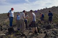 IMG00476.jpg(1247183 bytes) -- SIGMA-SIGMA SD9,  2004:04:01 09:50:54,  [2268 x 1512],  fl=N,  f=24.0mm,  exptime=0.003 s  (1/350),  f/9.5