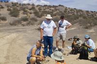 IMG00489.jpg(1319661 bytes) -- SIGMA-SIGMA SD9,  2004:04:01 12:04:14,  [2268 x 1512],  fl=N,  f=24.0mm,  exptime=0.003 s  (1/350),  f/11.0