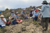 IMG00515.jpg(1243183 bytes) -- SIGMA-SIGMA SD9,  2004:04:02 10:44:54,  [2268 x 1512],  fl=N,  f=24.0mm,  exptime=0.017 s  (1/60),  f/19.0