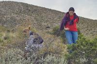 IMG00517.jpg(1245862 bytes) -- SIGMA-SIGMA SD9,  2004:04:02 10:45:34,  [2268 x 1512],  fl=N,  f=70.0mm,  exptime=0.017 s  (1/60),  f/13.0