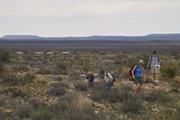 IMG00521.jpg(982924 bytes) -- SIGMA-SIGMA SD9,  2004:04:02 11:01:51,  [2268 x 1512],  fl=N,  f=64.0mm,  exptime=0.003 s  (1/350),  f/8.0