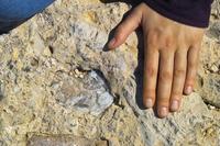 IMG00533.jpg(1637420 bytes) -- SIGMA-SIGMA SD9,  2004:04:02 14:18:15,  [2268 x 1512],  fl=N,  f=70.0mm,  exptime=0.001 s  (1/1000),  f/11.0