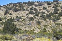 IMG00534.jpg(1822629 bytes) -- SIGMA-SIGMA SD9,  2004:04:02 14:29:22,  [2268 x 1512],  fl=N,  f=70.0mm,  exptime=0.002 s  (1/500),  f/8.0