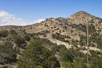 IMG00539.jpg(1573826 bytes) -- SIGMA-SIGMA SD9,  2004:04:02 15:00:22,  [2268 x 1512],  fl=N,  f=24.0mm,  exptime=0.003 s  (1/350),  f/9.5