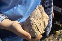 IMG00545.jpg(1250692 bytes) -- SIGMA-SIGMA SD9,  2004:04:02 15:31:46,  [2268 x 1512],  fl=N,  f=34.0mm,  exptime=0.002 s  (1/500),  f/11.0