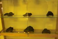 IMG00565.jpg(940372 bytes) -- SIGMA-SIGMA SD9,  2004:04:03 10:12:21,  [2268 x 1512],  fl=N,  f=24.0mm,  exptime=0.022 s  (1/45),  f/4.0