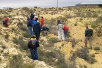 IMG00570.jpg(1755471 bytes) -- SIGMA-SIGMA SD9,  2004:04:03 11:05:06,  [2268 x 1512],  fl=N,  f=24.0mm,  exptime=0.003 s  (1/350),  f/9.5