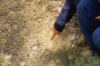 IMG00571.jpg(1614249 bytes) -- SIGMA-SIGMA SD9,  2004:04:03 11:05:44,  [2268 x 1512],  fl=N,  f=70.0mm,  exptime=0.003 s  (1/350),  f/6.7