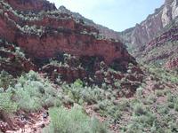 dscn1200.jpg(737214 bytes) -- NIKON-E990,  2003:04:20 12:27:02,  [2048 x 1536],  fl=N,  f= 8.2mm,  exptime=0.006 s  (1/172),  f/4.9