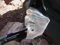 dscn1213.jpg(689082 bytes) -- NIKON-E990,  2003:04:20 12:44:24,  [2048 x 1536],  fl=N,  f=20.4mm,  exptime=0.009 s  (1/106),  f/5.2