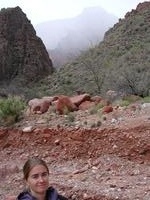 dscn1248.jpg(711391 bytes) -- NIKON-E990,  2003:04:22 09:36:29,  [2048 x 1536],  fl=N,  f= 9.4mm,  exptime=0.014 s  (1/72),  f/2.9