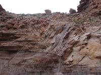 dscn1260.jpg(692193 bytes) -- NIKON-E990,  2003:04:22 15:14:21,  [2048 x 1536],  fl=N,  f=14.0mm,  exptime=0.008 s  (1/124),  f/4.3