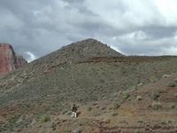 dscn1271.jpg(695796 bytes) -- NIKON-E990,  2003:04:22 16:41:43,  [2048 x 1536],  fl=N,  f=23.4mm,  exptime=0.005 s  (1/186),  f/7.9