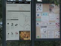 dscn1291.jpg(523525 bytes) -- NIKON-E990,  2003:04:23 16:53:15,  [2048 x 1536],  fl=N,  f=65.5mm,  exptime=0.008 s  (1/131),  f/6.3