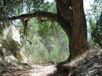 DSCN0329.JPG(749205 bytes) -- NIKON-E990,  2001:08:06 14:22:20,  [2048 x 1536],  fl=N,  f= 8.2mm,  exptime=0.006 s  (1/158),  f/4.9