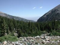 DSCN0299.JPG(704181 bytes) -- NIKON-E990,  2001:08:04 10:29:55,  [2048 x 1536],  fl=N,  f= 8.2mm,  exptime=0.004 s  (1/252),  f/7.0