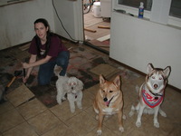 E990, 2005:01:09 16:14:22 -- 2/239 sec, f/2.5.  Flash.2048x1536 NORMAL .