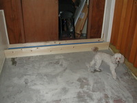 E990, 2005:01:23 17:30:12 -- 2/239 sec, f/2.5.  Flash.2048x1536 NORMAL .