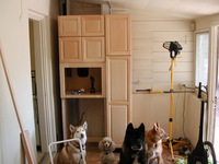 E990, 2005:01:31 11:16:16 -- 5/247 sec, f/2.5.  No Flash.2048x1536 NORMAL .