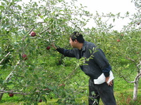 114_1481.JPG(1766844 bytes) -- Canon-Canon PowerShot G3,  2003:09:26 14:10:31,  [2272 x 1704],  fl=N,  f= 8.0mm  (35mm equivalent: 40mm),  exptime=0.0040 s  (1/250),  f/4.0