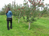 114_1483.JPG(1800740 bytes) -- Canon-Canon PowerShot G3,  2003:09:26 14:10:57,  [2272 x 1704],  fl=N,  f=14.4mm  (35mm equivalent: 73mm),  exptime=0.0020 s  (1/500),  f/4.0