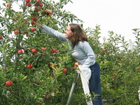 114_1484.JPG(1424173 bytes) -- Canon-Canon PowerShot G3,  2003:09:26 14:11:03,  [2272 x 1704],  fl=N,  f=15.8mm  (35mm equivalent: 80mm),  exptime=0.0020 s  (1/500),  f/4.0