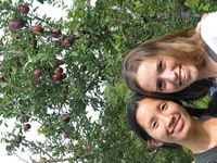 114_1488.JPG(1373082 bytes) -- Canon-Canon PowerShot G3,  2003:09:26 14:18:06,  [2272 x 1704],  fl=N,  f=17.6mm  (35mm equivalent: 89mm),  exptime=0.0025 s  (1/400),  f/4.0