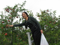 114_1494.JPG(1137910 bytes) -- Canon-Canon PowerShot G3,  2003:09:26 14:28:06,  [2272 x 1704],  fl=N,  f= 7.2mm  (35mm equivalent: 36mm),  exptime=0.0025 s  (1/400),  f/4.0