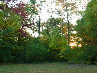 Canon PowerShot G3, 2003:10:11 18:39:58 -- 1/15 sec, f/2.8.  Flash, Compulsory, Red-Eye Reduce.2272x1704 Red-Eye Reduction (On).