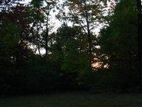 Canon PowerShot G3, 2003:10:11 18:40:20 -- 1/50 sec, f/3.2.  Flash, Compulsory, Red-Eye Reduce.2272x1704 Red-Eye Reduction (On).