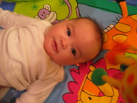 Canon PowerShot G3, 2004:01:18 20:38:04 -- 1/15 sec, f/2.0.  No Flash, Compulsory.2272x1704 Off.